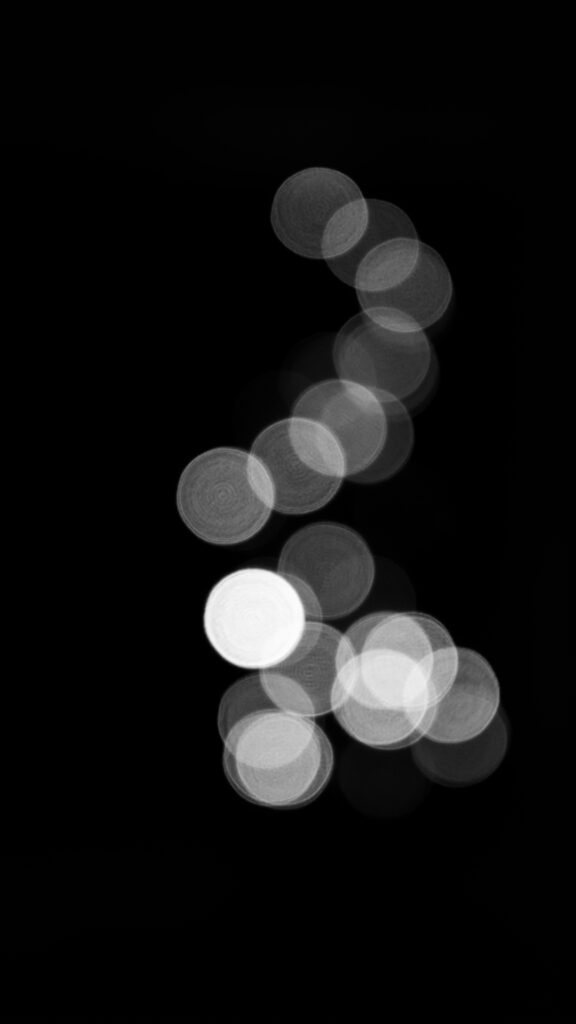 pexels damir 19374679